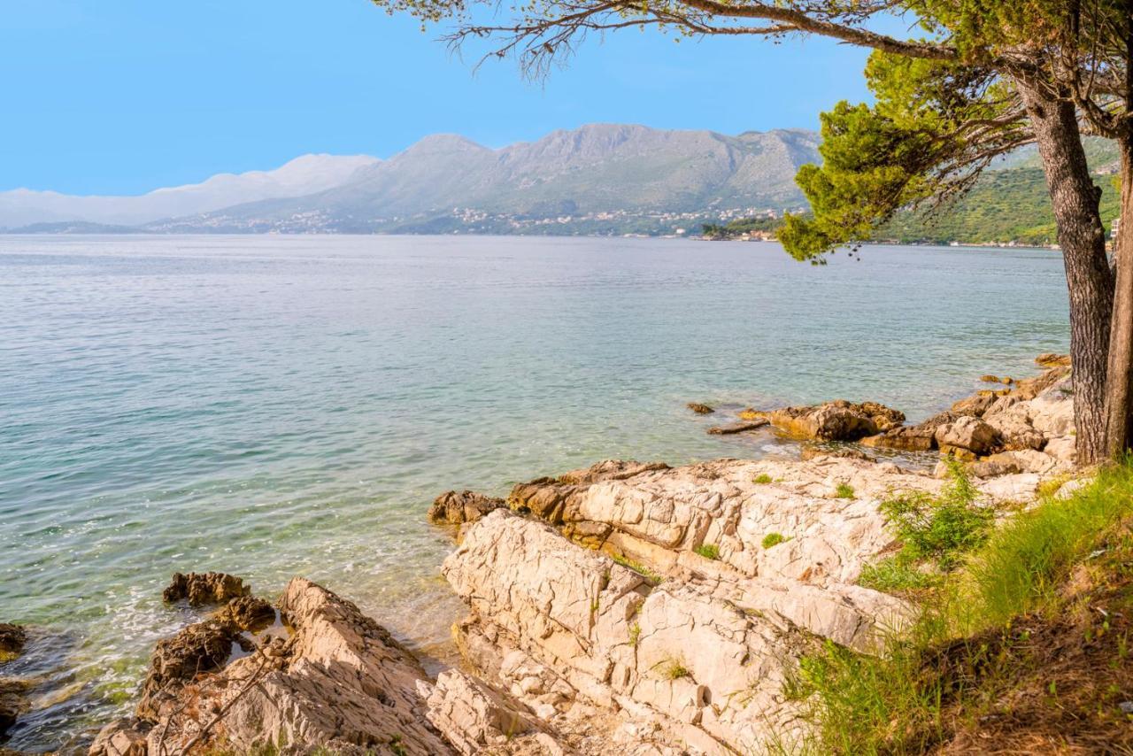 Cavtat - Panoramic Sea View Διαμέρισμα Εξωτερικό φωτογραφία