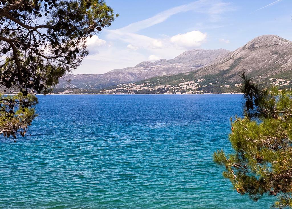 Cavtat - Panoramic Sea View Διαμέρισμα Εξωτερικό φωτογραφία