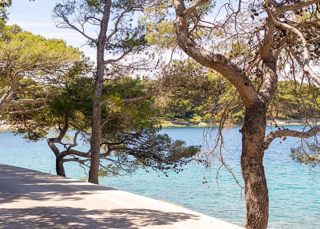 Cavtat - Panoramic Sea View Διαμέρισμα Εξωτερικό φωτογραφία